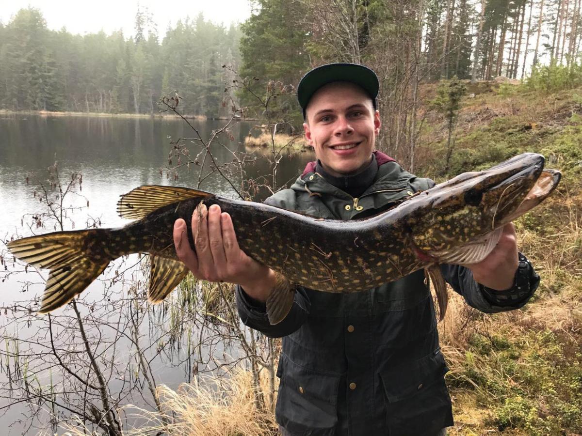Rustika Strandstugor Utanfoer Raettvik Kültér fotó