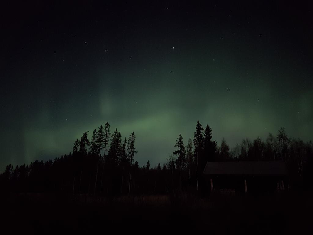 Rustika Strandstugor Utanfoer Raettvik Kültér fotó